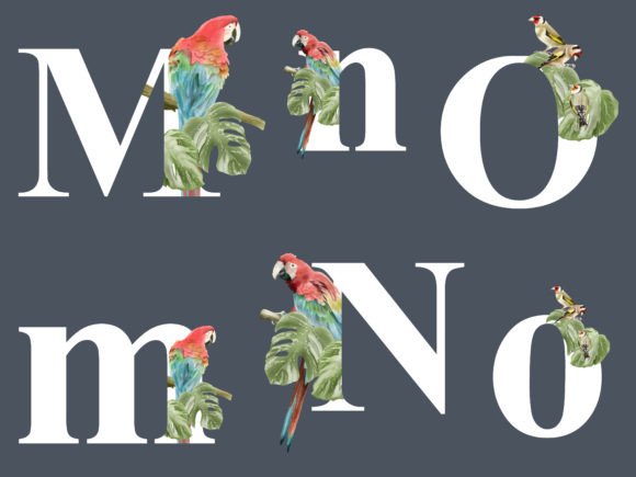 Alphabet of Tropical Life Watercolor: A Designer’s Review for Branding & Marketing