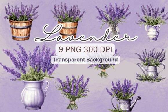 Lavender Purple Flowers Watercolor Illustrations
