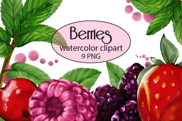Watercolor Berries Clipart, PNG – A Designer’s Honest Review for Real Embroidery Use