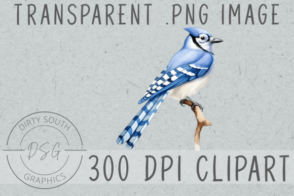 Watercolor Bluejay Bird Illustrations for Crafting and Handmade Business