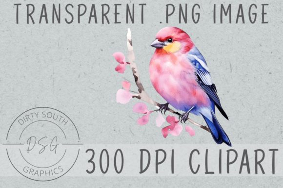 Watercolor Colorful Finch Bird Illustrations for Editorial & Blog Design