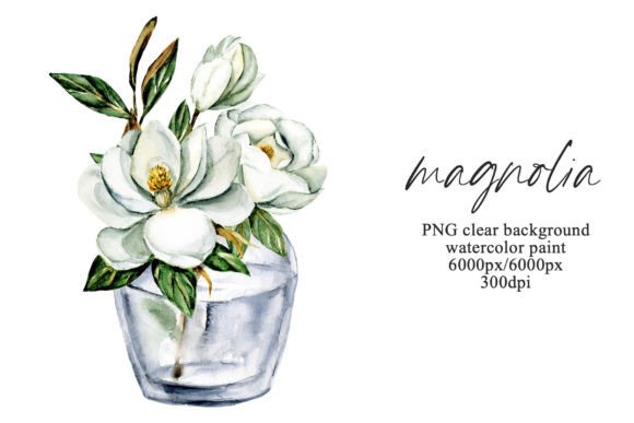 Watercolor Flowers Magnolia: A Soft, Elegant Illustration for Branding and Marketing Visuals