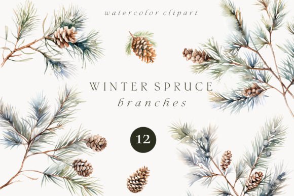 Watercolor Winter Spruce Twigs Clipart Review